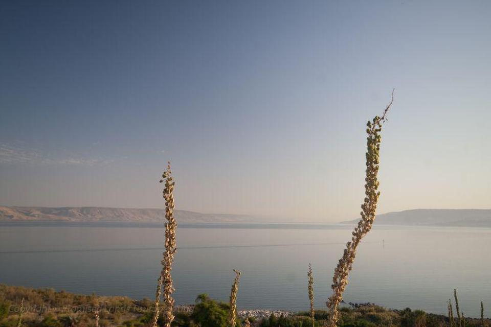 Het Meer van Tiberias