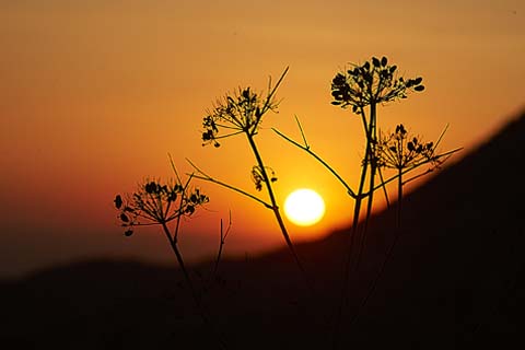 zonsondergang Dana