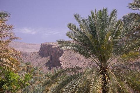 Jebel Akhbar